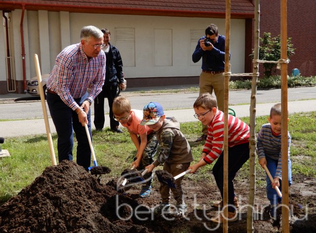 Életfát ültettünk 14